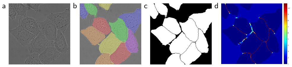 Example segmentation from Ronneberger et al. 2015.