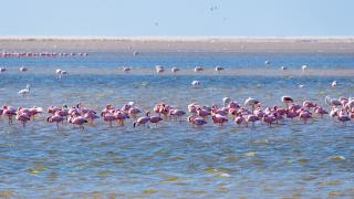 Applications for 2020 Intern Program Are Now Open