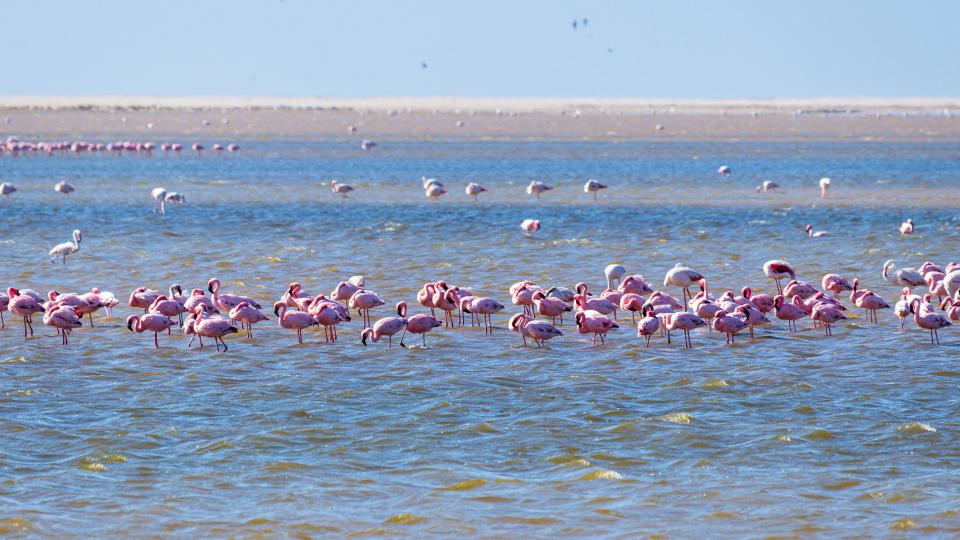 Announcing 2020 Interns