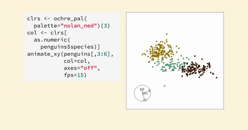Di Cook's tourr package gif
