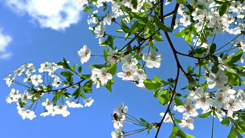 Take the tidymodels survey for 2024 priorities