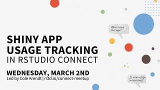 Shiny Usage Tracking in Posit Connect